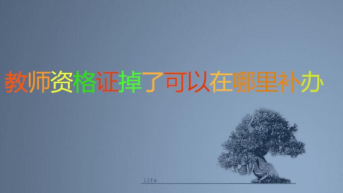 教师资格证掉了可以在哪里补办