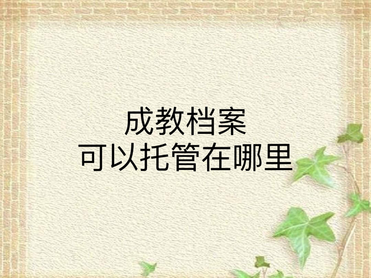 成教档案可以托管在哪里