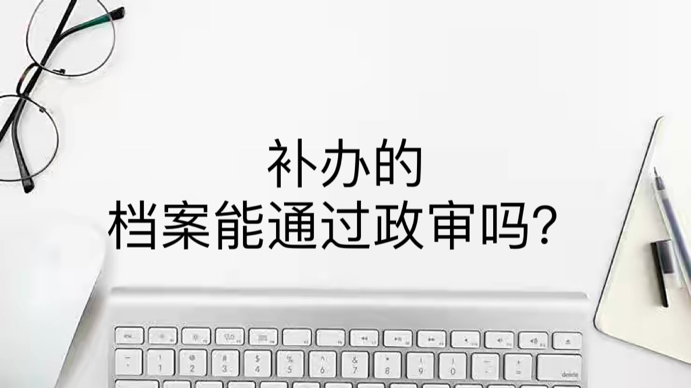 补办的档案能通过政审吗？