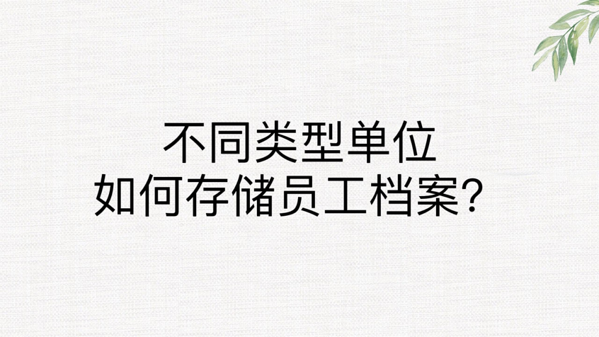 不同类型单位如何存储员工档案？