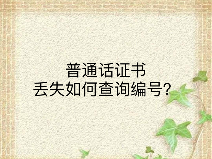 普通话证书丢失如何查询编号？