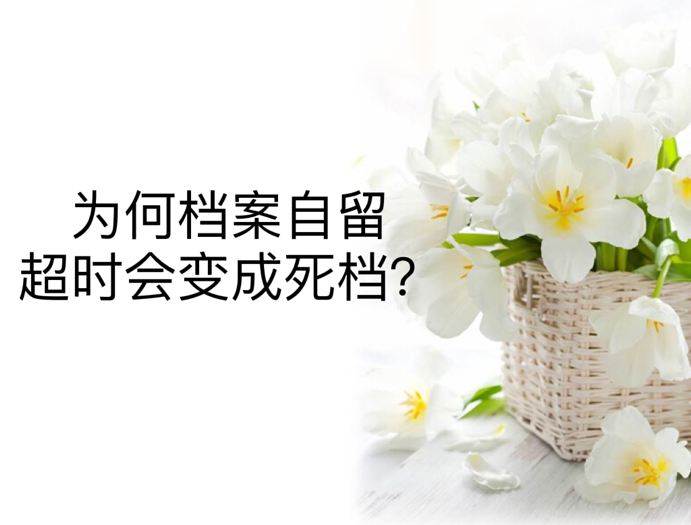 为何档案自留超时会变成死档？