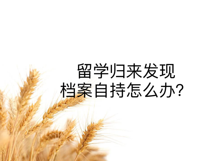 留学归来发现档案自持怎么办？