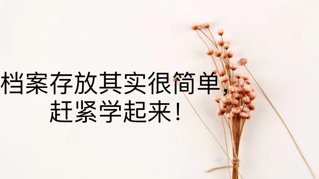 档案存放其实很简单，赶紧学起来！