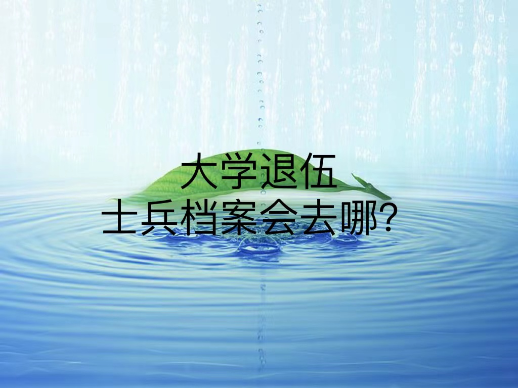 大学退伍士兵档案会去哪？