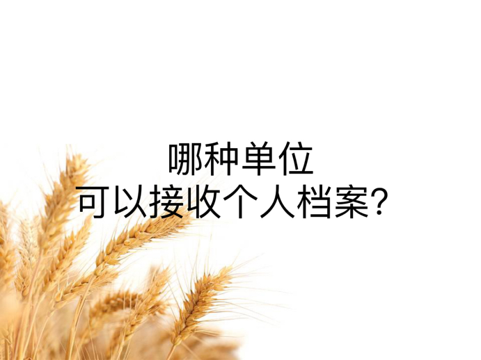 哪种单位可以接收个人档案？