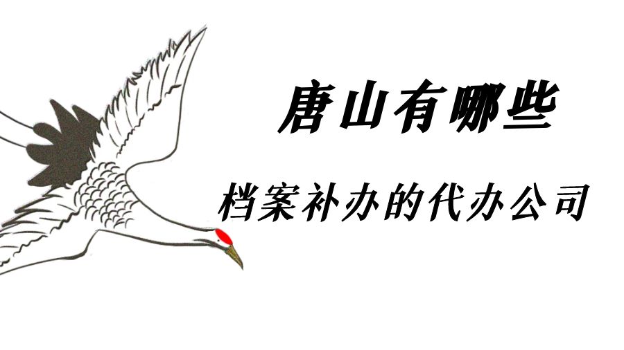 唐山有哪些档案补办的代办公司？