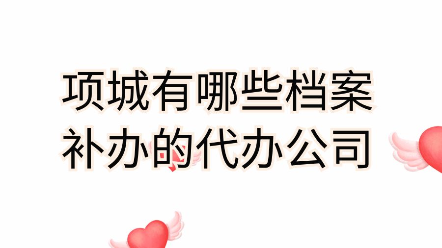 项城有哪些档案补办的代办公司？