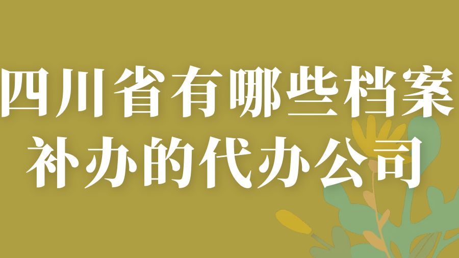 四川省有哪些档案补办的代办公司？