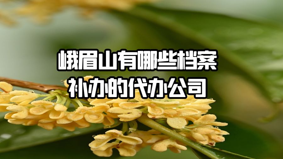 峨眉山有哪些档案补办的代办公司？