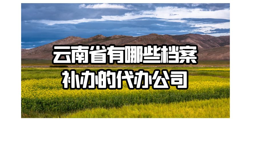 云南省有哪些档案补办的代办公司？