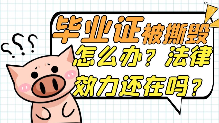 毕业证被撕毁了怎么办？法律效力还在吗？