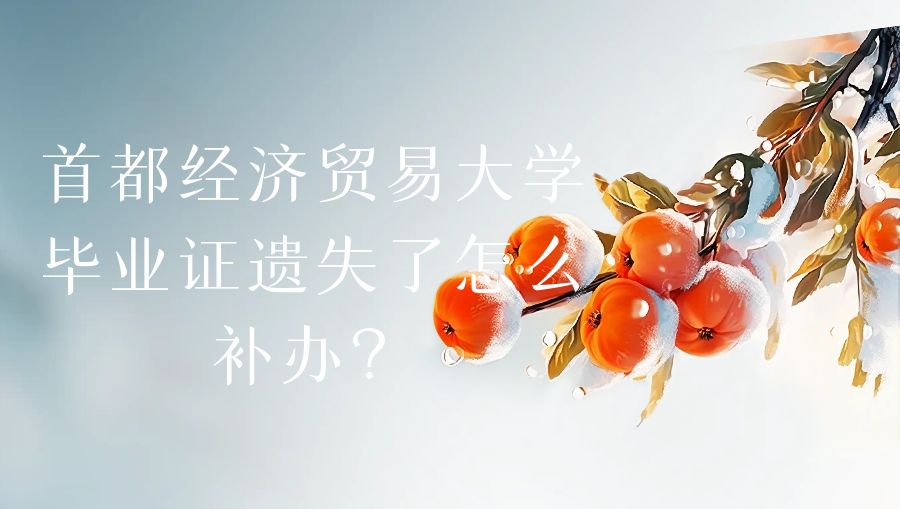 首都经济贸易大学毕业证遗失了怎么补办？