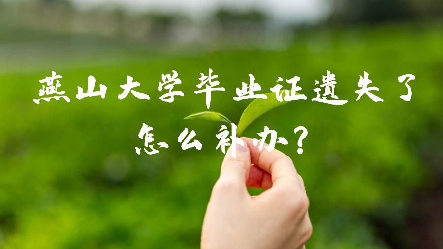 燕山大学毕业证遗失了怎么补办？