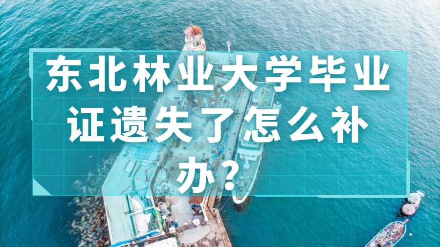 东北林业大学毕业证遗失了怎么补办？