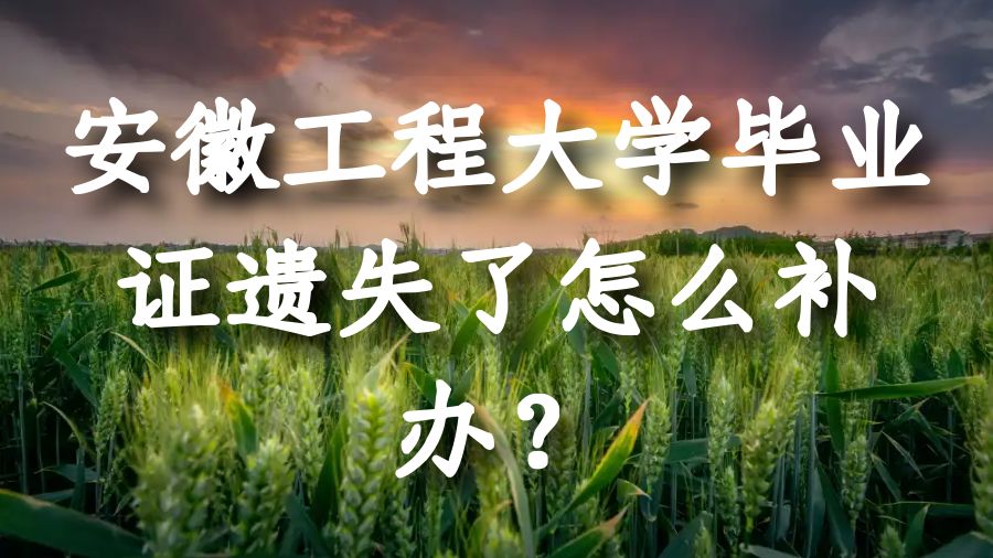 安徽工程大学毕业证遗失了怎么补办？